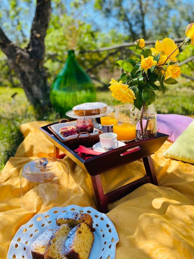 Agriturismo Azzarone Весте Екстериор снимка